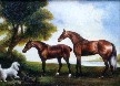 Stubbs, George Townly, The Hunter Horse and the Arab Horse Fine Art Oil Painting