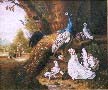 Bogdany, Jakob, Bird of Paradise Fine Art Oil Painting